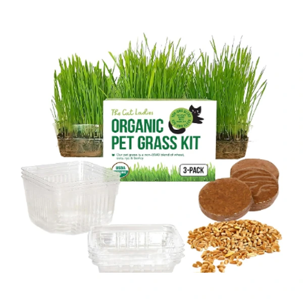 The Cat Ladies Cat Grass for Indoor Cats Growing Kit 3 Pack