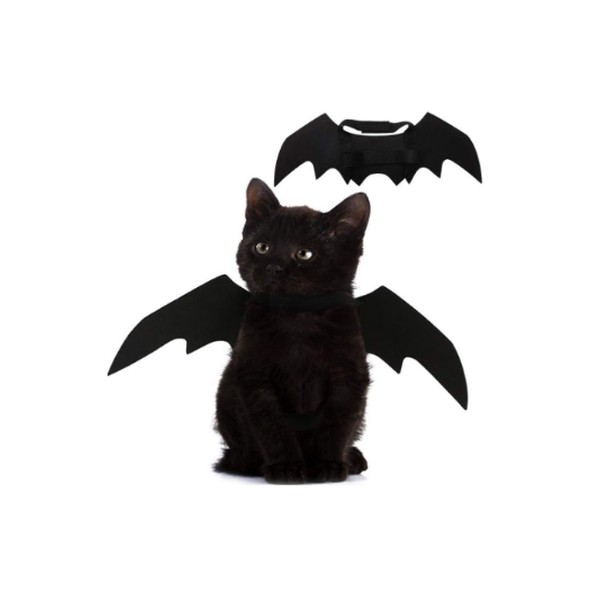 Pet Cat Bat Wings Cosplay Costume