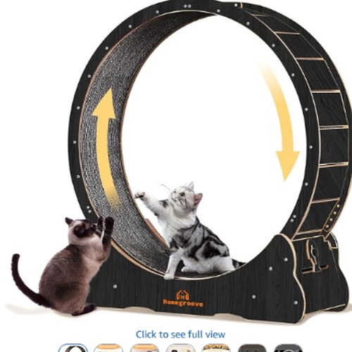 Homegroove 46-Inch Large Cat Exercise Running Treadmill Wheel